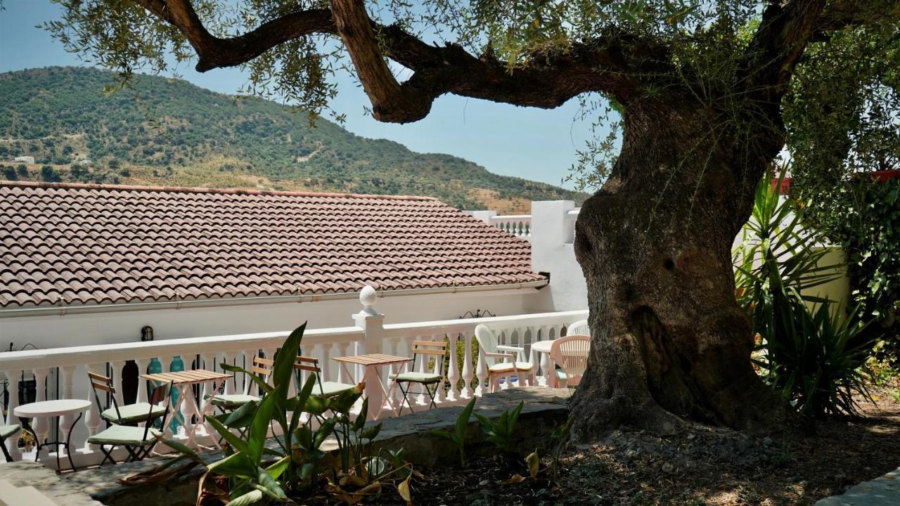 One Life Málaga Retreat Periana Exterior foto